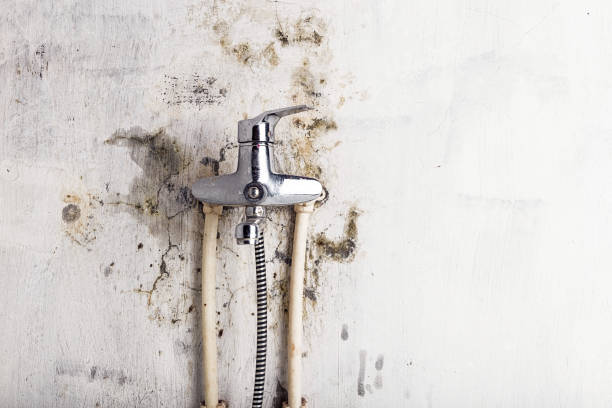 Best Residential Mold Remediation in Glens Falls North, NY